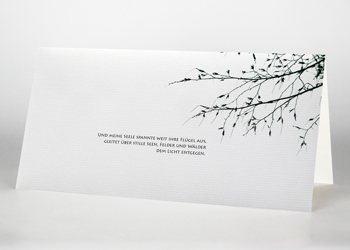 Wohnung mieten travemunde