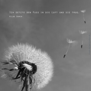 Ich setzte den Fuss in die Luft und sie trug. Hilde Domin