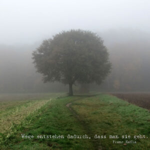 Wege entstehen dadurch, dass man sie geht.