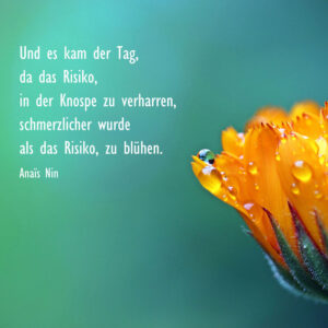 Und es kam der Tag, da das Risiko, in der Knospe zu verharren, schmerzlicher wurde als das RIsiko, zu blühen.