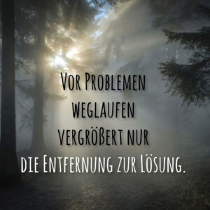 Vor Problemen weglaufen vergrößert nur die Entfernung zur Lösung.