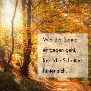 Wer der Sonne entgegen geht, lässt die Schatten hinter sich.
