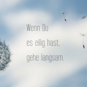 Wenn Du es eilig hast, gehe langsam.