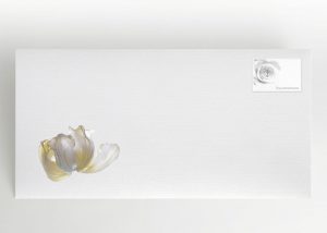 Weiße Rose - Umschlag Motiv B-05