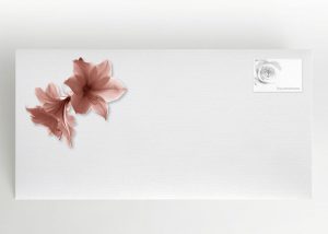 Amaryllis - Umschlag Motiv B-24