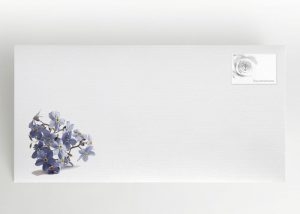 Vergißmeinnicht - Umschlag Motiv B-25