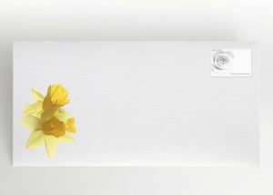 Narzisse - Umschlag Motiv B-29