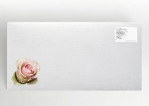 Rosafarbene Rosen - Umschlag Motiv B-36