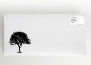 Eine einzelne Buche auf einer Lichtung - Umschlag Motiv F-09