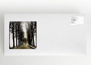 Ein von Bäumen umschlossener sonniger Weg - Umschlag Motiv F-12