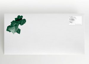 Efeu an einer Wand - Umschlag Motiv F-17