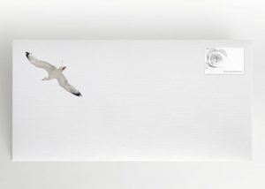 Blaues Meer und eine Möwe - Umschlag Motiv F-18