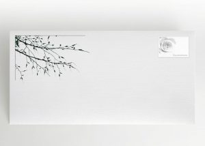 Ein blattloser Ast - Umschlag Motiv F-19