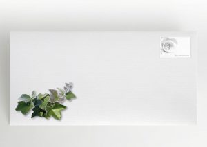 Mit Raureif bedeckter Efeu - Umschlag Motiv F-21