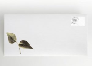 Kleiner Ast mit zwei Blättern - Umschlag Motiv F-32