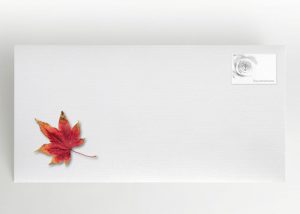 Bunte Herbstblätter - Umschlag Motiv F-36