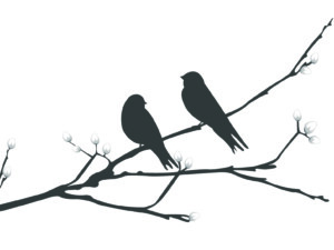 Zwei gezeichnete stilisierte Vögel die auf einem Ast sitzen in schwarzweiß