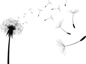 Stilisierte Zeichnung von wegfliegenden Samenkörnen eines Löwenzahns