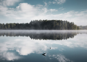 Waldstück an einem See mit Himmel und Wolken das sich alles im See spiegelt