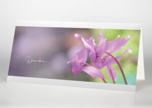 Alpenveilchen - Danksagungskarte Motiv B-40