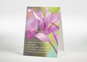 Alpenveilchen - Sterbebildchen Motiv B-40