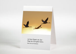 3 hintereinander fliegende Wildgänse vor einem Abendhimmel - Sterbebildchen Motiv F-05