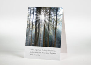 Sonnenstrahlen im Wald - Sterbebildchen Motiv F-46