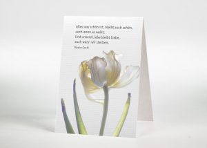 Weiße Rose - Sterbebildchen Motiv B-05