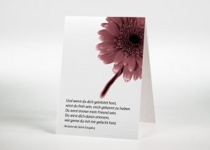 Gerbera - Sterbebildchen Motiv B-08