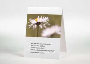 Gänseblümchen - Sterbebildchen Motiv B-12