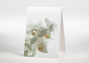 Weiße Orchidee - Sterbebildchen Motiv B-15
