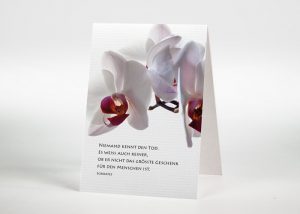 Rosa Orchidee - Sterbebildchen Motiv B-16