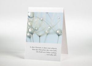 Detailaufnahme mehrere Pusteblumensamen mit Wassertropfen - Sterbebildchen Motiv B-18