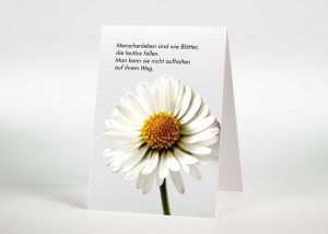Gänseblümchen - Sterbebildchen Motiv B-21