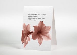 Amaryllis - Sterbebildchen Motiv B-24