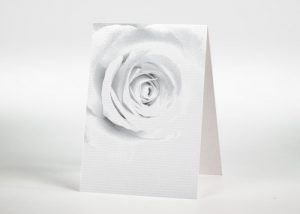 Verblassende Rose - Sterbebildchen Motiv B-28