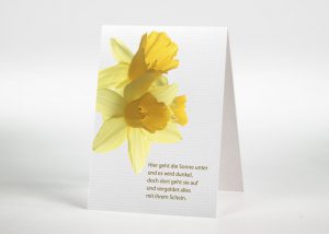 Narzisse - Sterbebildchen Motiv B-29