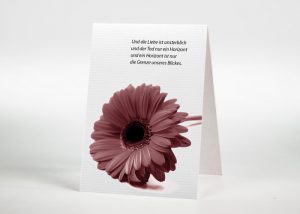 Rote Gerbera - Sterbebildchen Motiv B-30