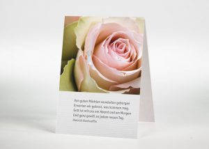 Rosafarbene Rosen - Sterbebildchen Motiv B-36