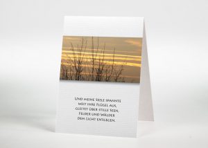 Baumspitzen ohne Blätter vor einem bunten Himmel - Sterbebildchen Motiv F-04