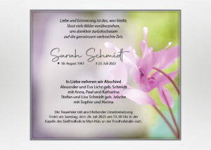 Detailaufnahme Alpenveilchen - Traueranzeige Motiv B-39