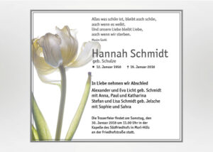 Weiße Rose - Traueranzeige Motiv B-05