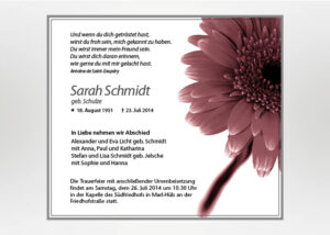 Gerbera - Traueranzeige Motiv B-08