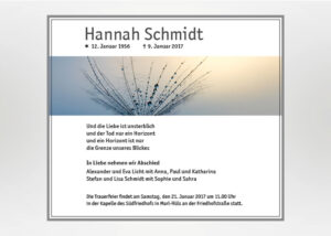 Detailaufnahme eines Pusteblumensamens - Traueranzeige Motiv B-13