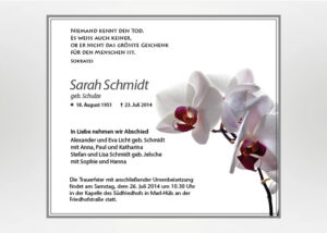 Rosa Orchidee - Traueranzeige Motiv B-16