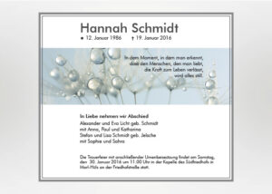 Detailaufnahme mehrere Pusteblumensamen mit Wassertropfen - Traueranzeige Motiv B-18