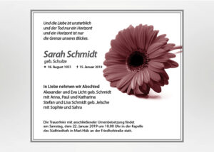 Rote Gerbera - Traueranzeige Motiv B-30