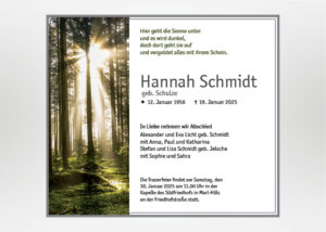 Sonnenstrahlen im Wald - Traueranzeige Motiv F-40