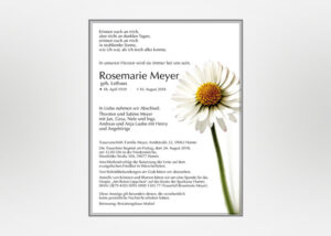 Traueranzeige mit Gänseblümchen - Motiv B-21