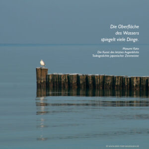 Die Oberfläche des Wassers spiegelt viele Dinge.